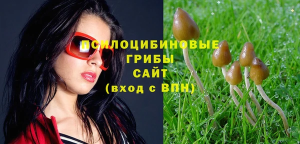 Альфа ПВП Кулебаки
