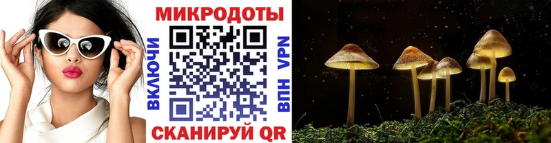 Галлюциногенные грибы прущие грибы  Людиново 